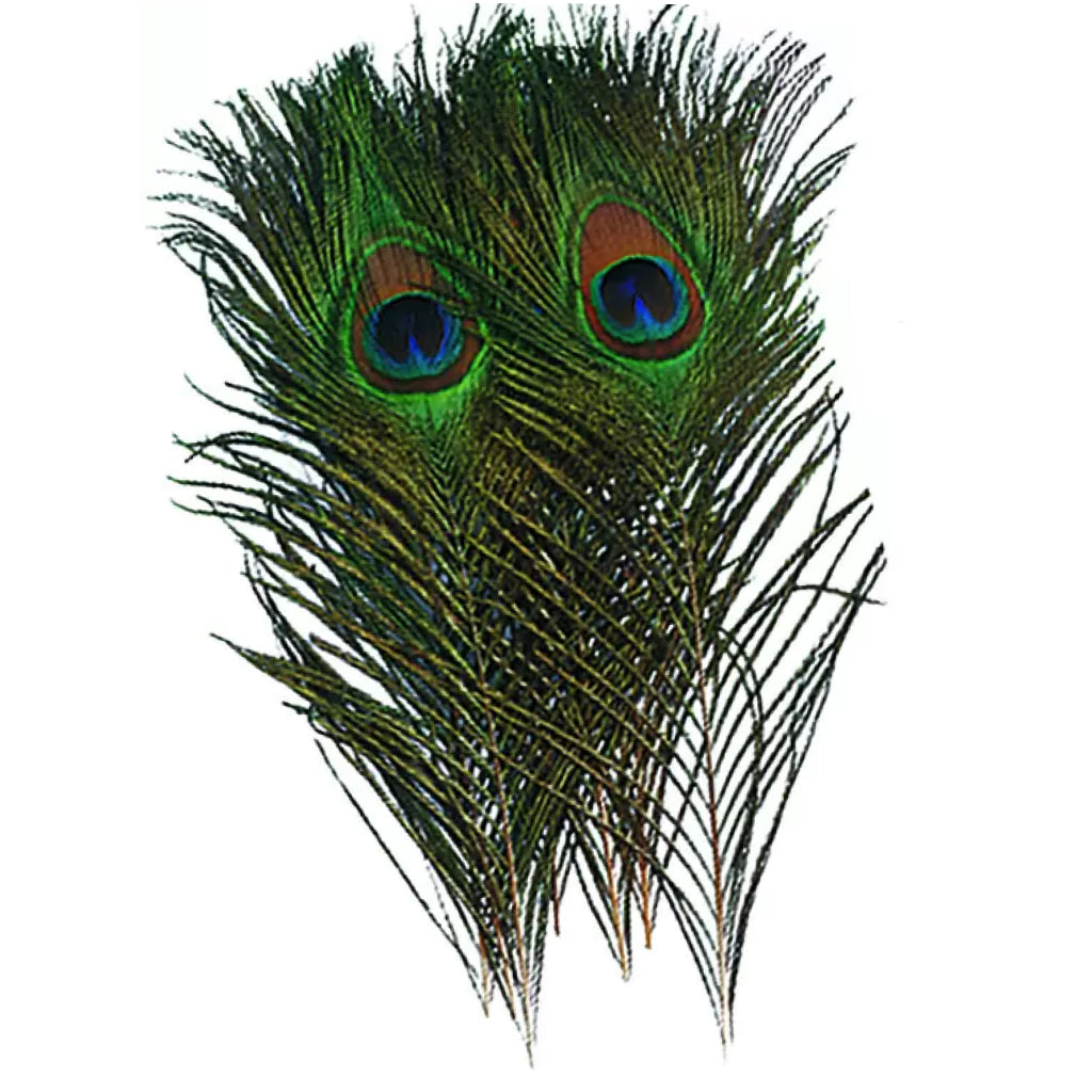 Peacock Eyes Natural (PEE199)