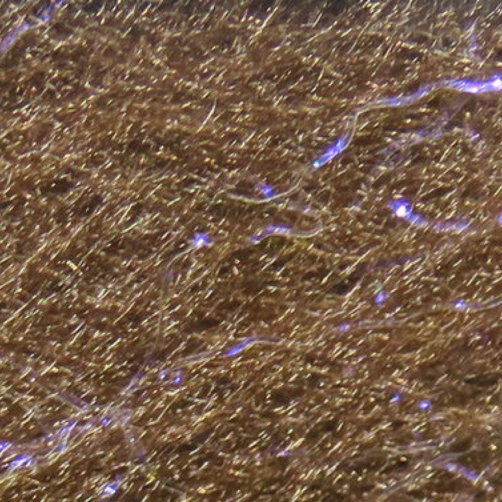 Fly Fish Food&#39;s Bruiser Blend Jr.