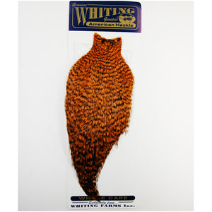 Whiting American Rooster Cape