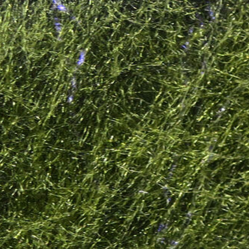 Fly Fish Food&#39;s Bruiser Blend Jr.