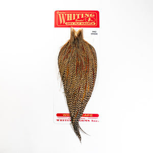 Whiting Pro Grade Rooster Cape Whole