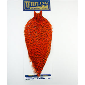 Whiting American Rooster Cape