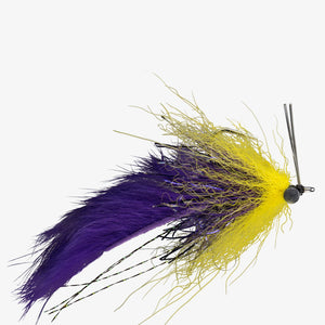 Boyle's Swamp Fox Fly