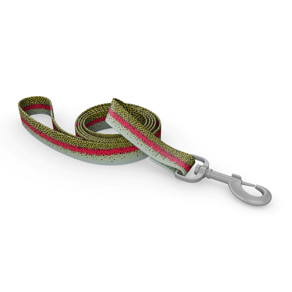 Wingo Bowie Dog Leash