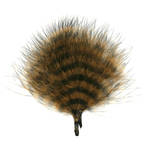 MFC Barred Marabou