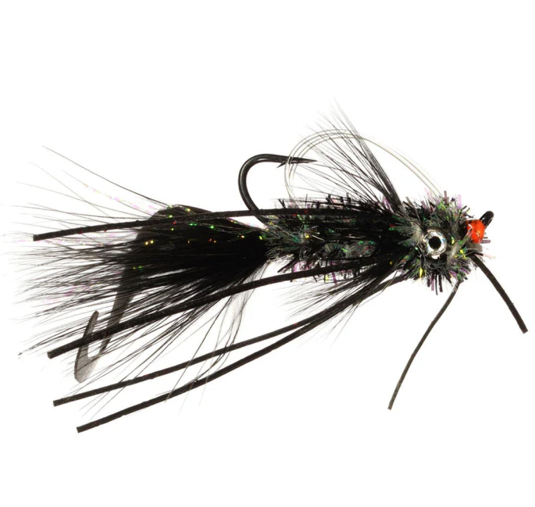 Whitlock&#39;s Scorpion Fly