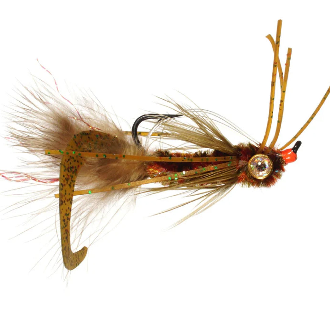 Whitlock&#39;s Scorpion Fly