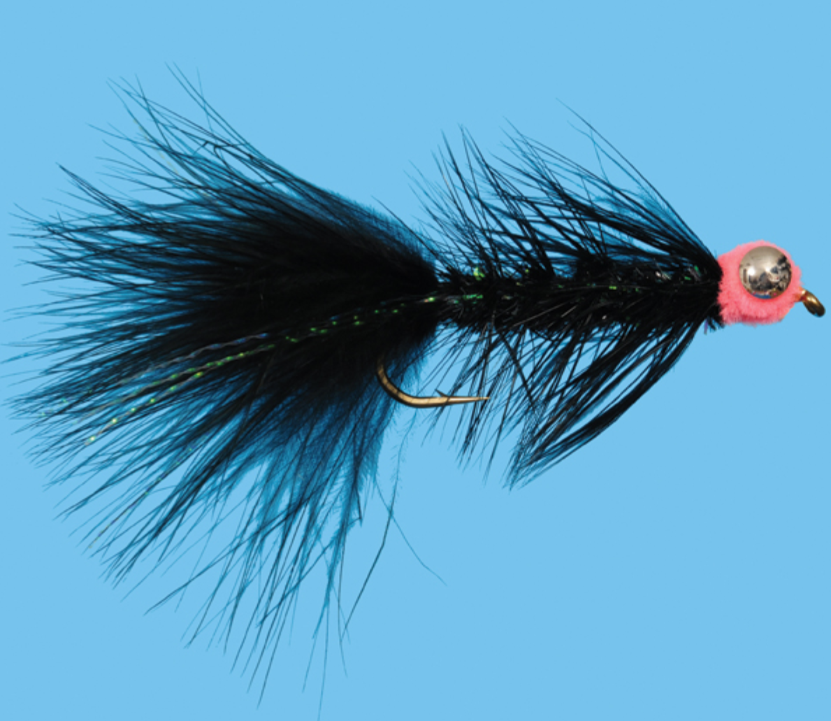 Barbell Egg Sucking Leech