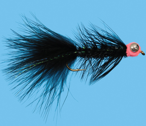 Barbell Egg Sucking Leech