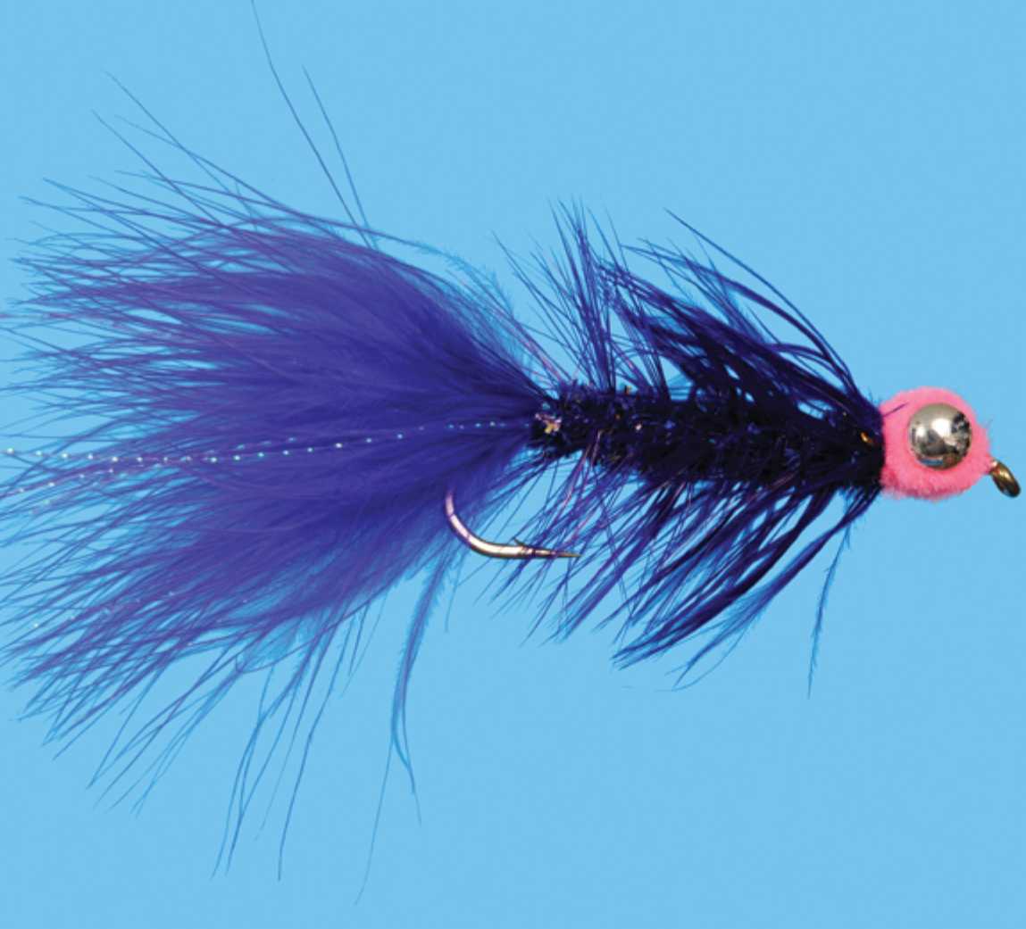 Barbell Egg Sucking Leech