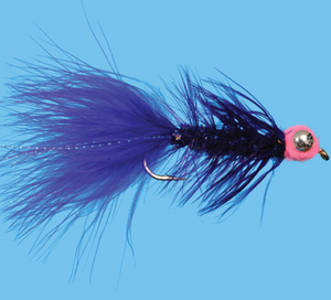 Barbell Egg Sucking Leech