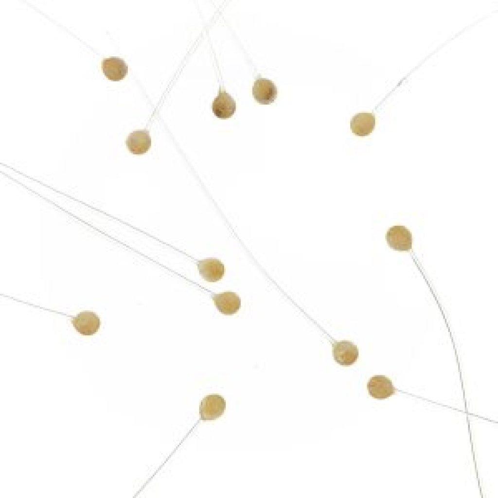 EP Crab &amp; Shrimp Eyes