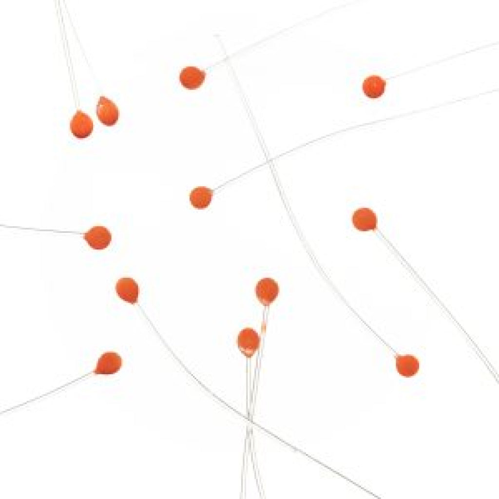 EP Crab &amp; Shrimp Eyes