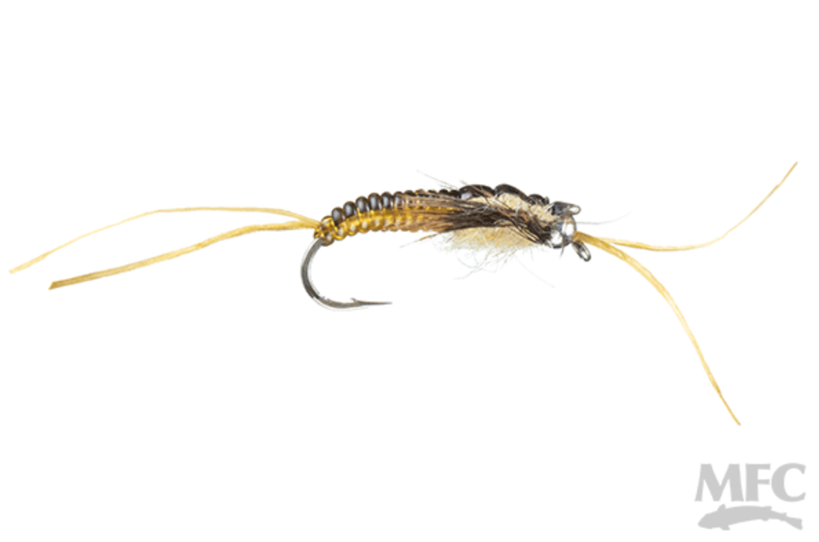 Strolis&#39; Dimmer Stone