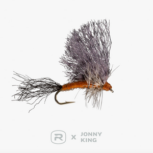 RIO's King Wedgewing