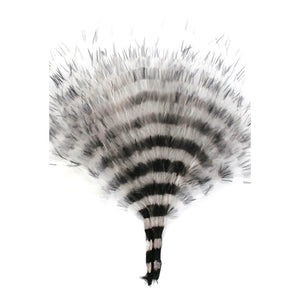 MFC Barred Marabou