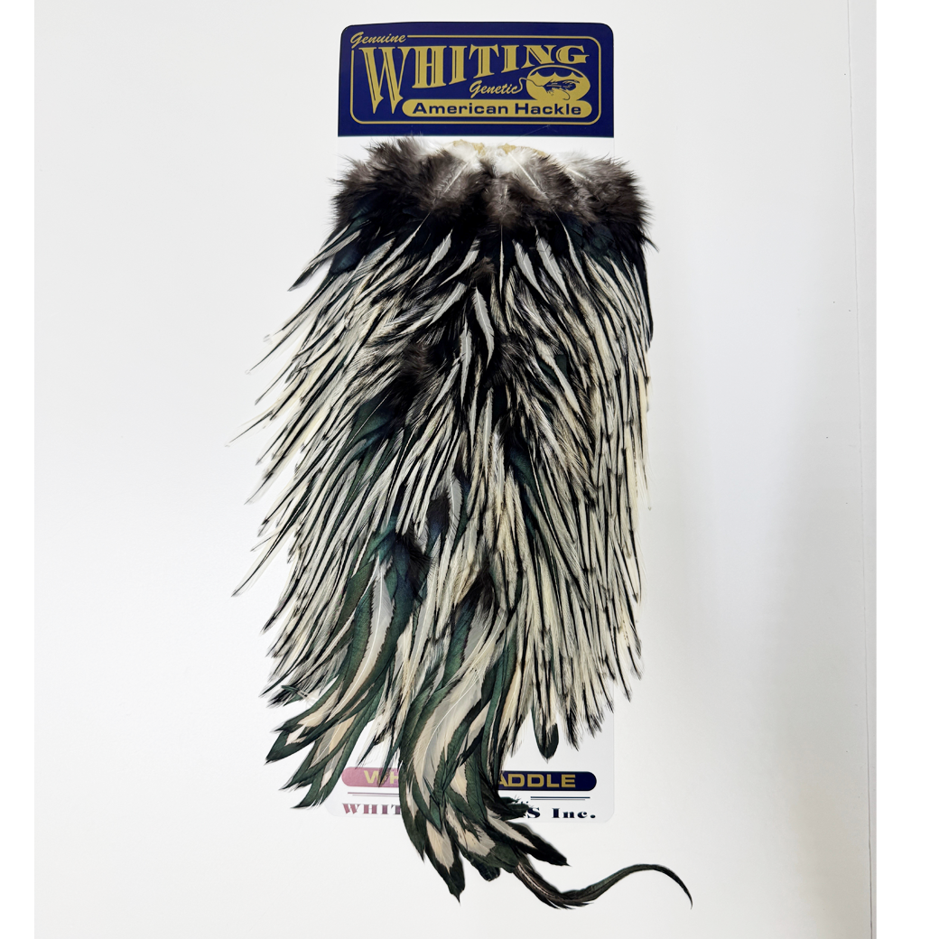 Whiting American Rooster Saddle