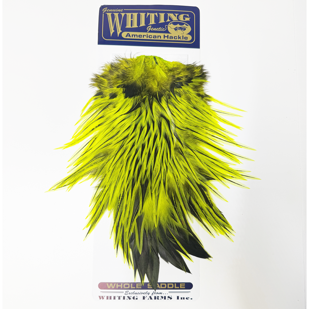 Whiting American Rooster Saddle
