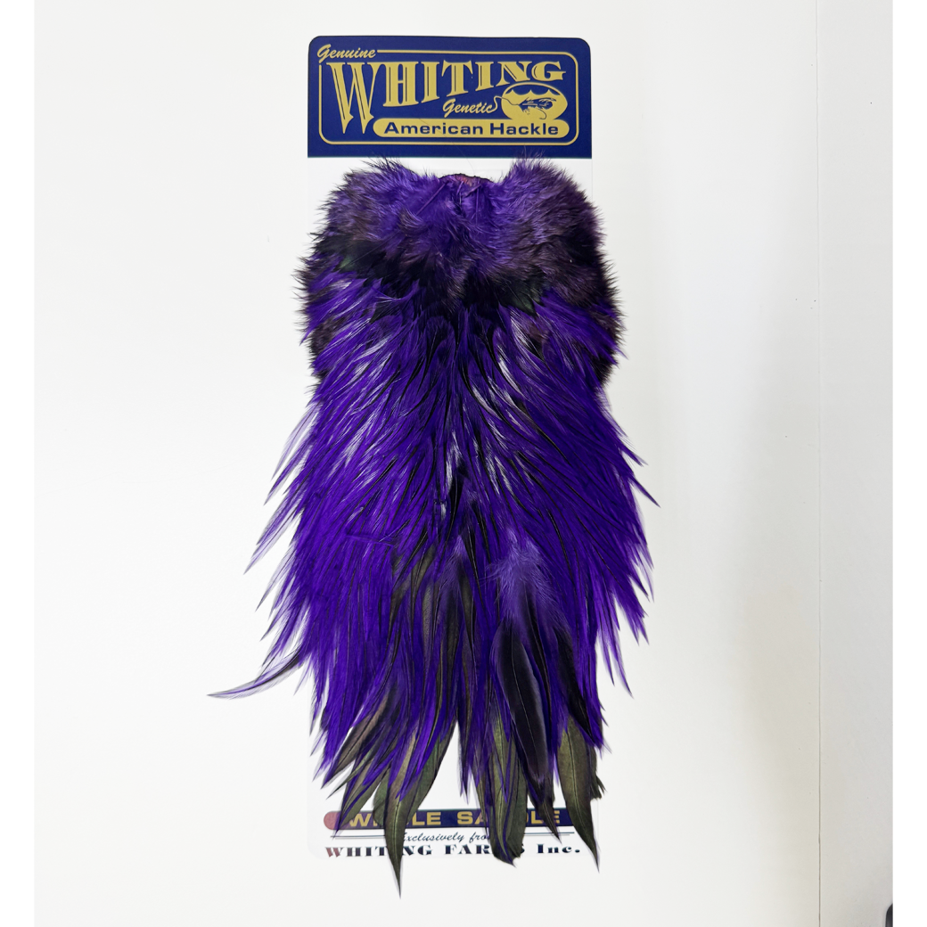 Whiting American Rooster Saddle