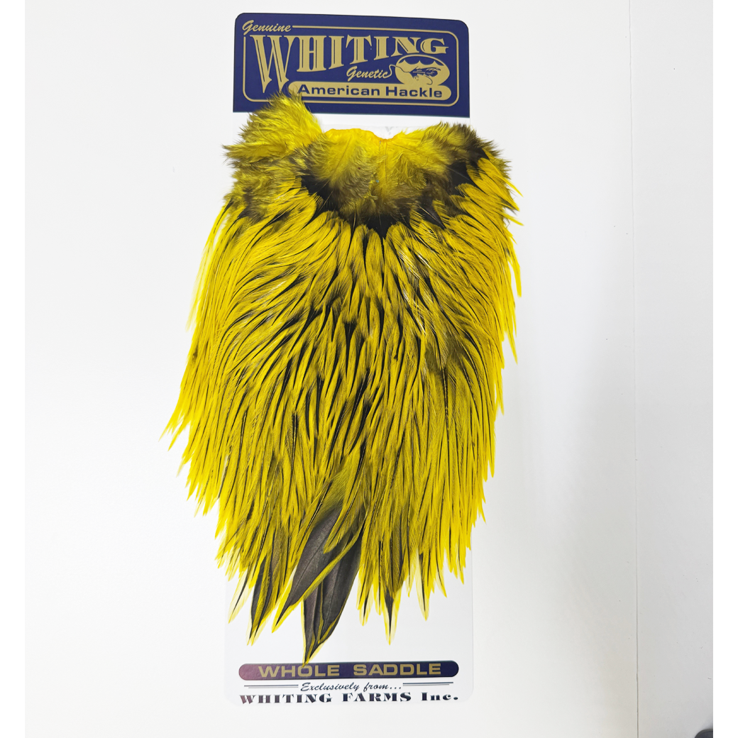 Whiting American Rooster Saddle