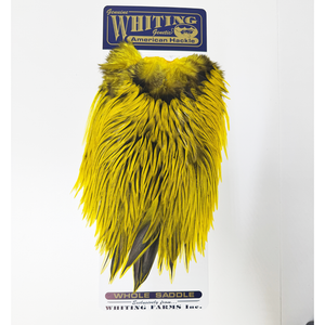 Whiting American Rooster Saddle