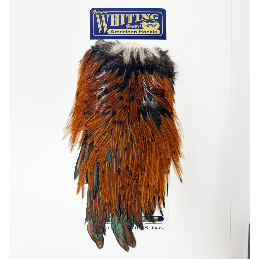 Whiting American Rooster Saddle