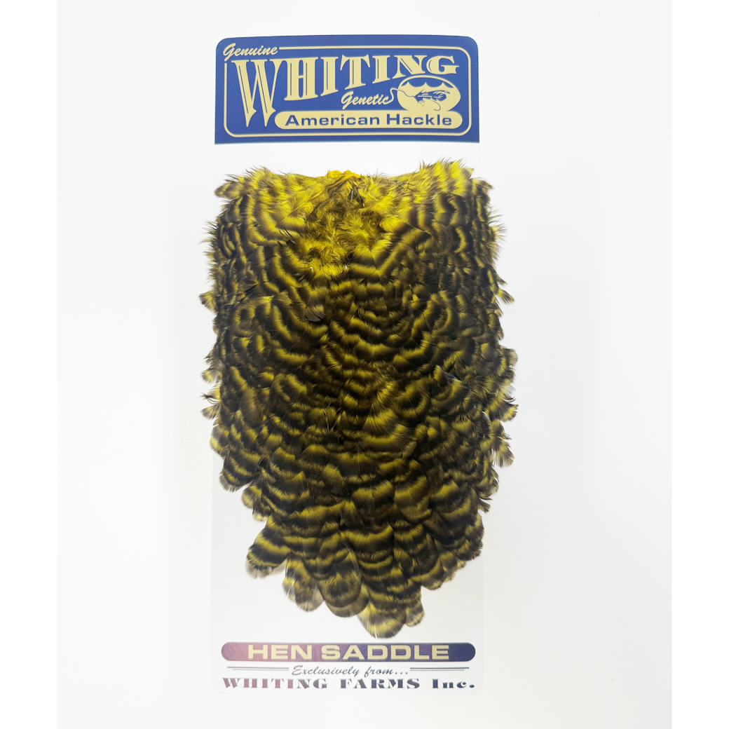 Whiting American Hen Saddle
