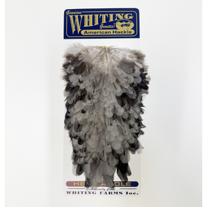 Whiting American Hen Saddle
