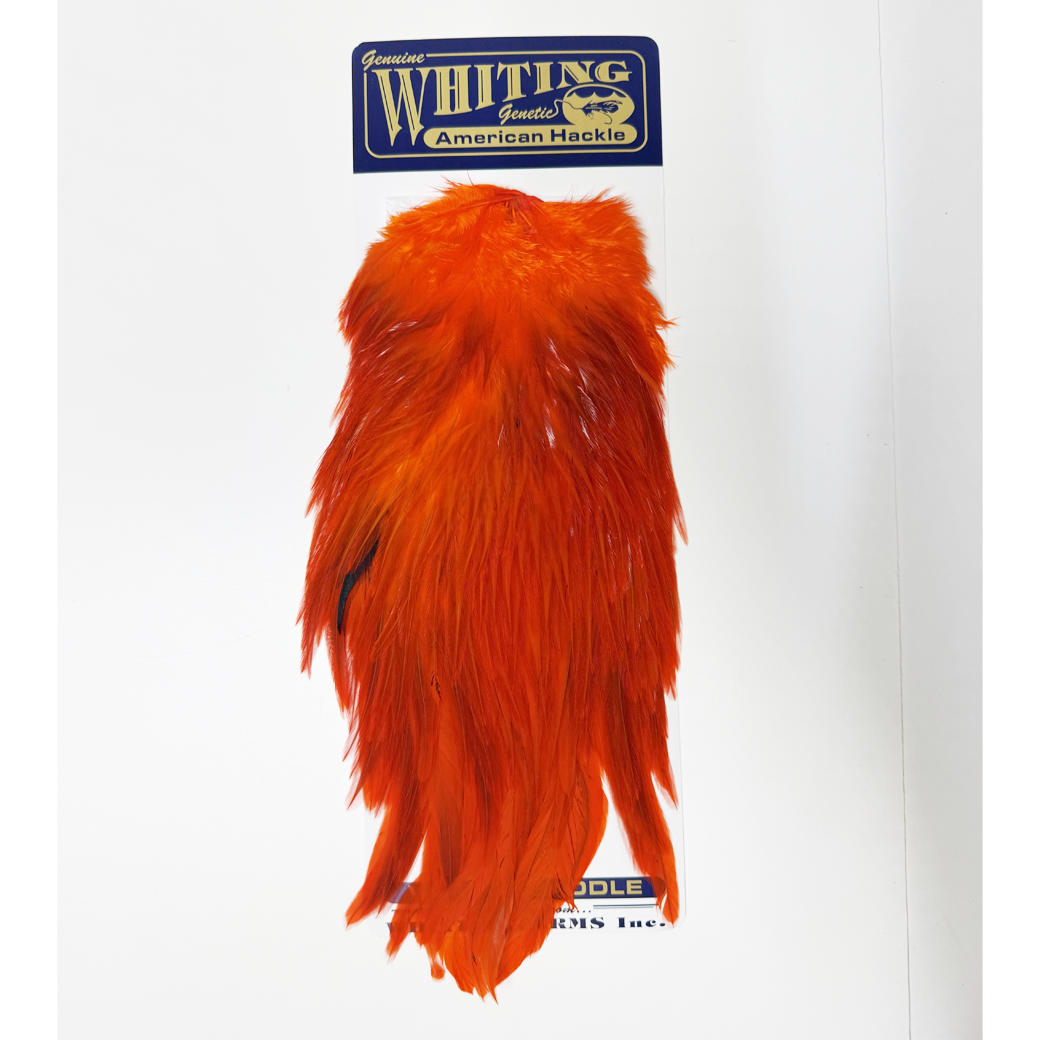 Whiting American Rooster Saddle