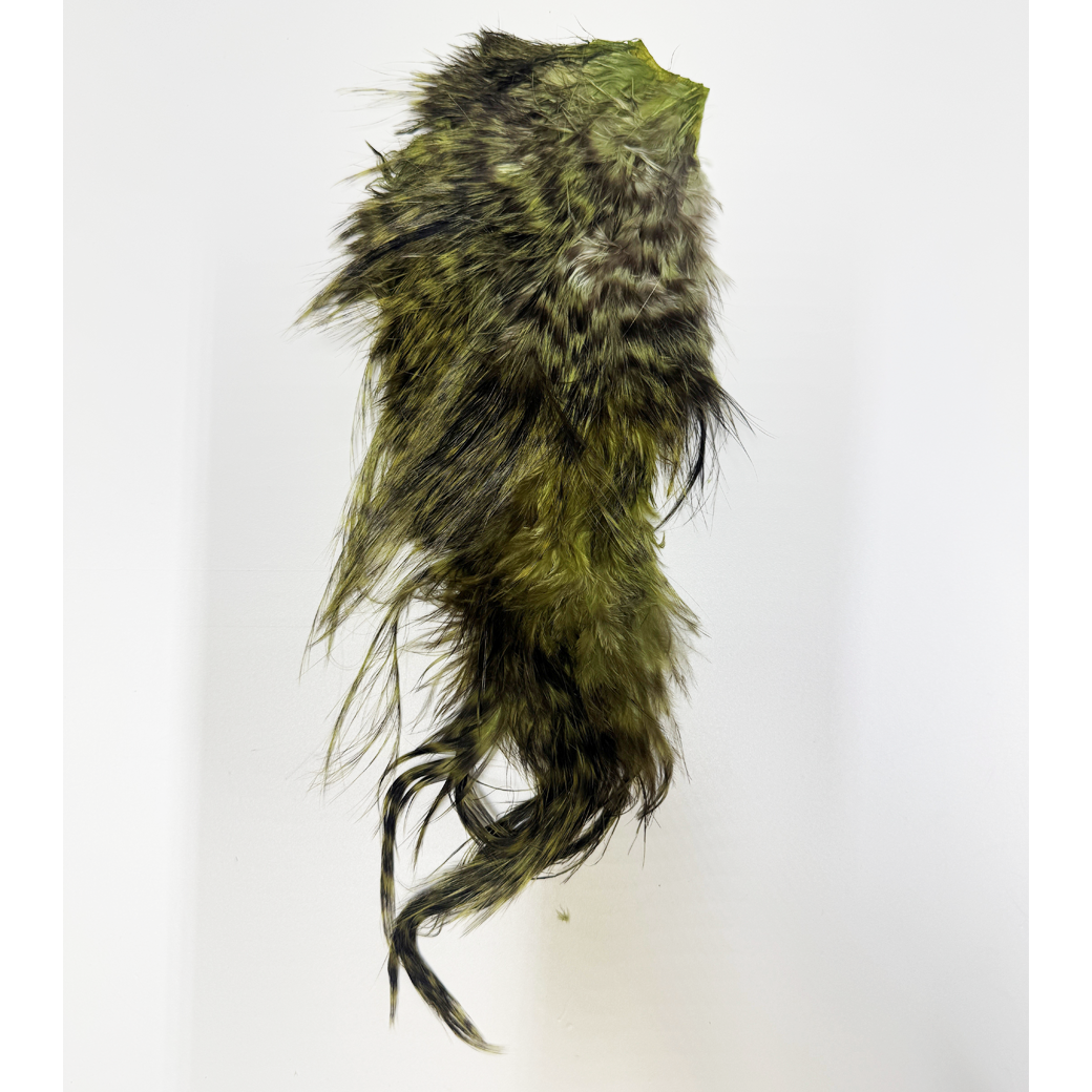 Whiting Bird Fur