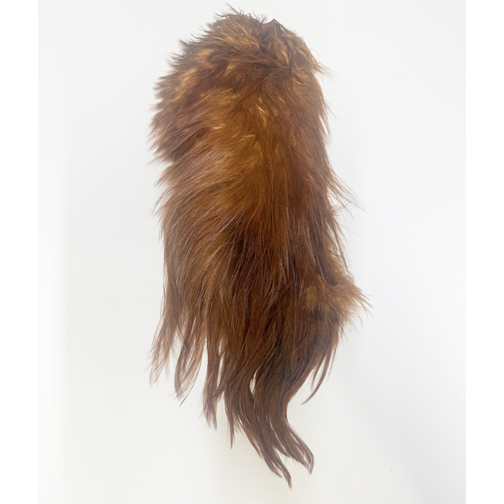 Whiting Bird Fur