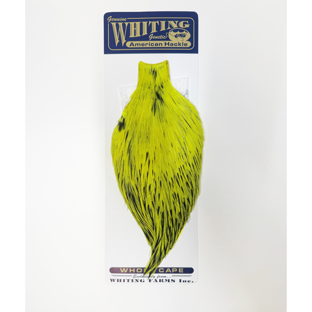 Whiting American Rooster Cape