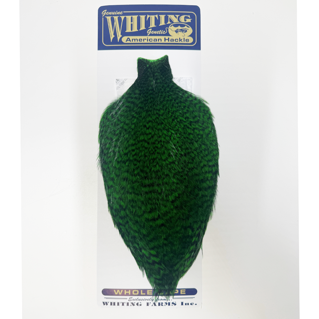 Whiting American Rooster Cape