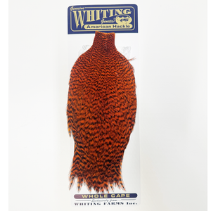 Whiting American Rooster Cape