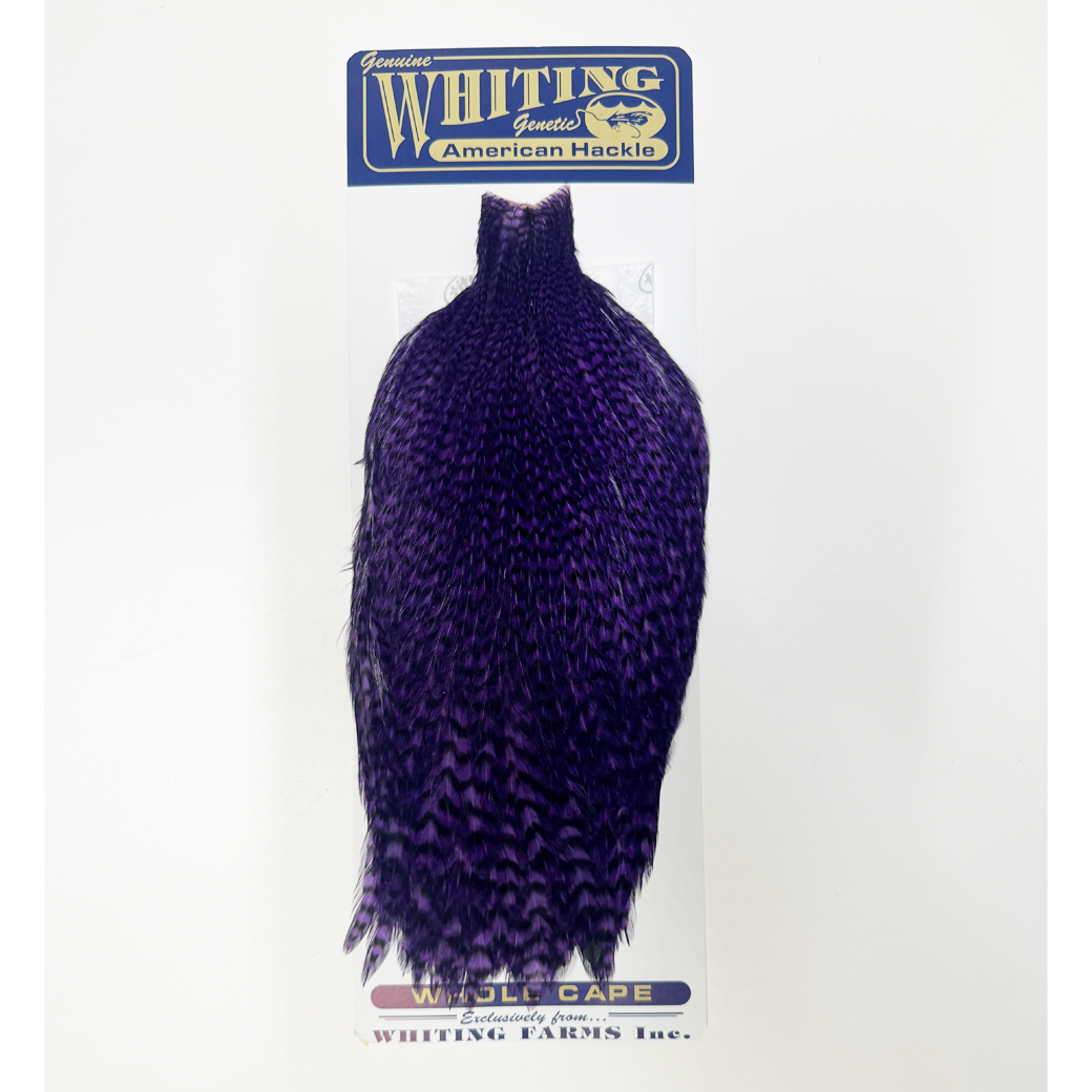 Whiting American Rooster Cape