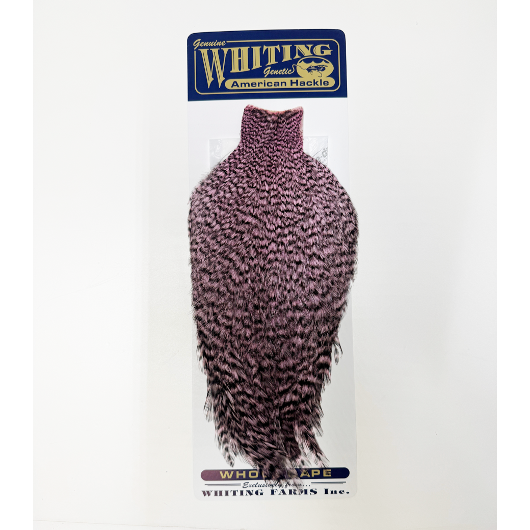 Whiting American Rooster Cape
