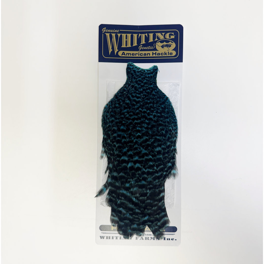 Whiting American Rooster Cape