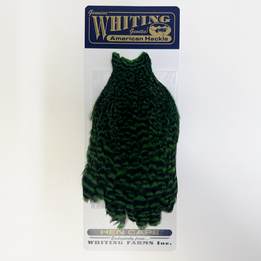 Whiting American Hen Cape