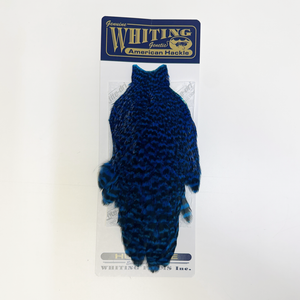 Whiting American Hen Cape