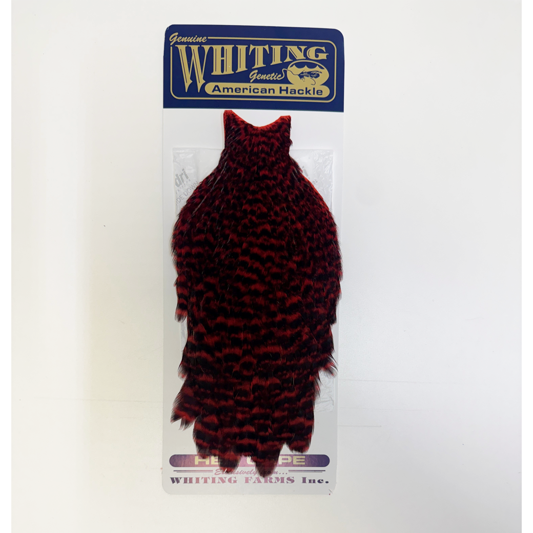 Whiting American Hen Cape