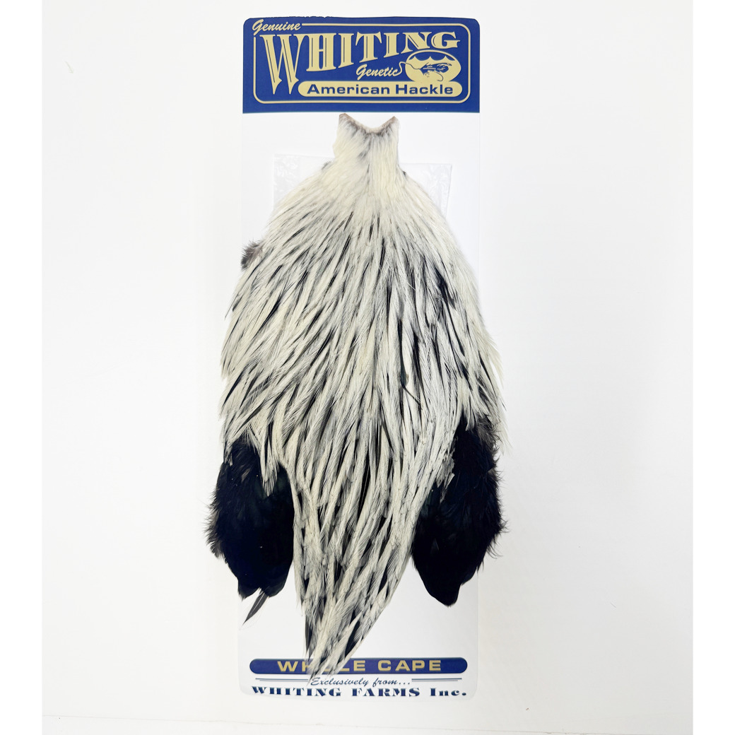Whiting American Rooster Cape