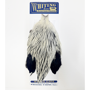 Whiting American Rooster Cape