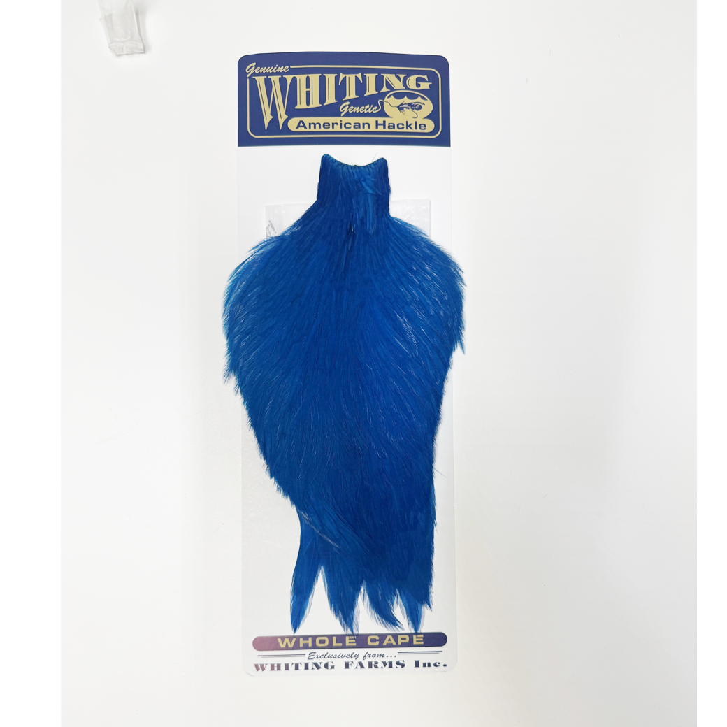 Whiting American Rooster Cape