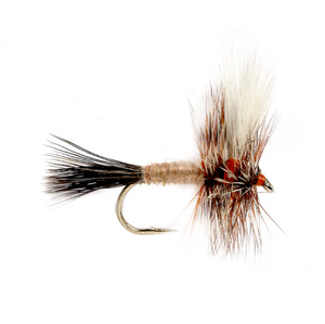 Ausable Wulff