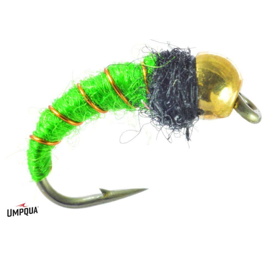 Caddis Larva Bead Head