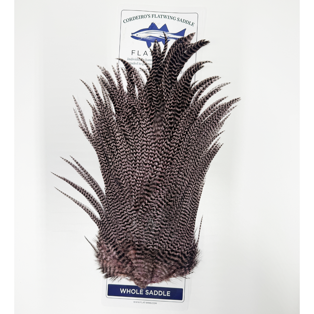 Cordeiro's Flat Wing Saddle