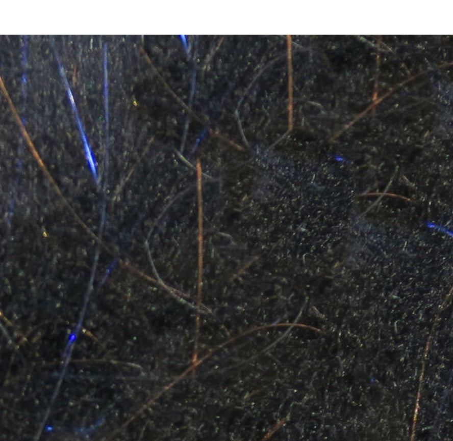 Fly Fish Food&#39;s Bruiser Blend