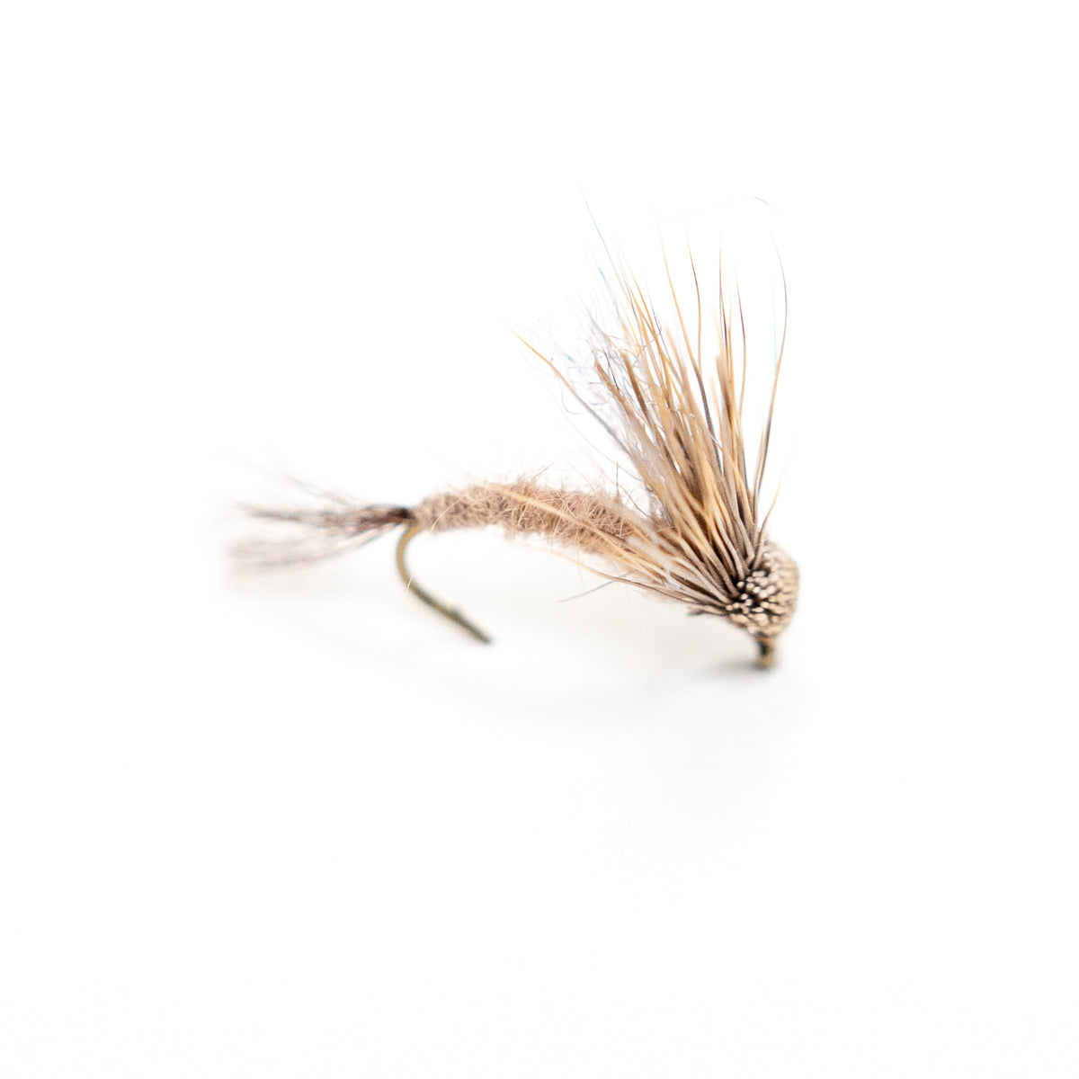 Hendrickson Thunderbug