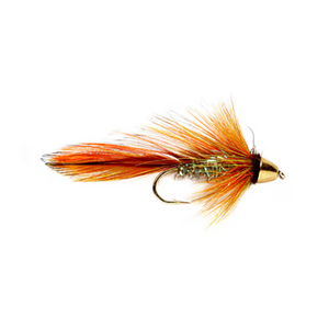 Orange Blossum Special