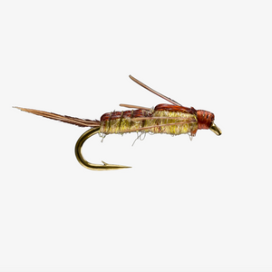 PMD Nymph